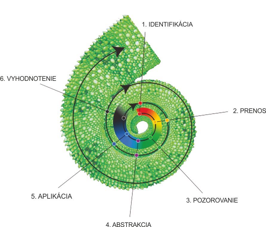 spirala biomimikry